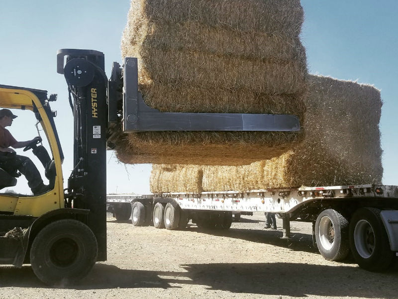 Clerf Standard Hay Clamp on Forklift loading Hay Truck