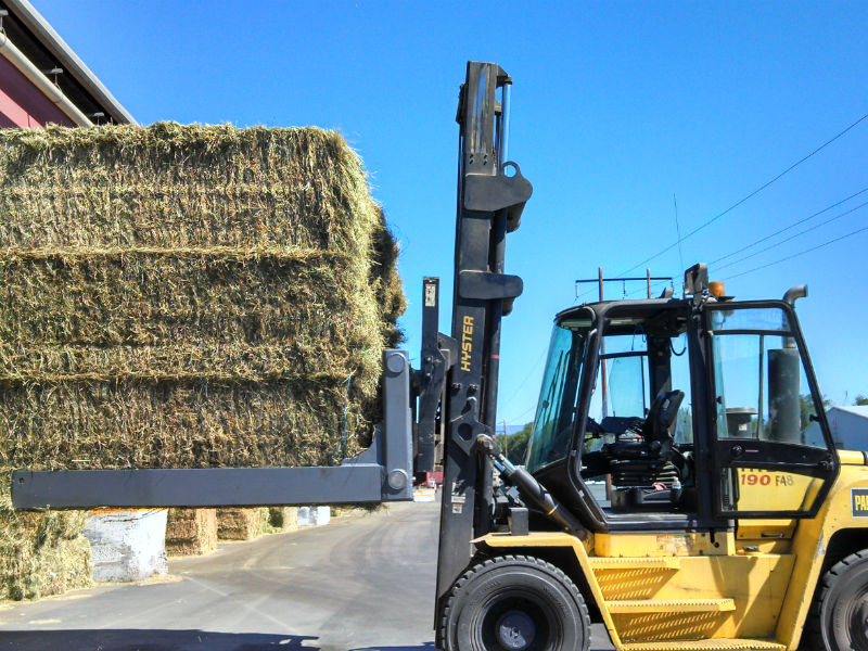 Clerf Standard Hay Clamp on Hyster Forklift